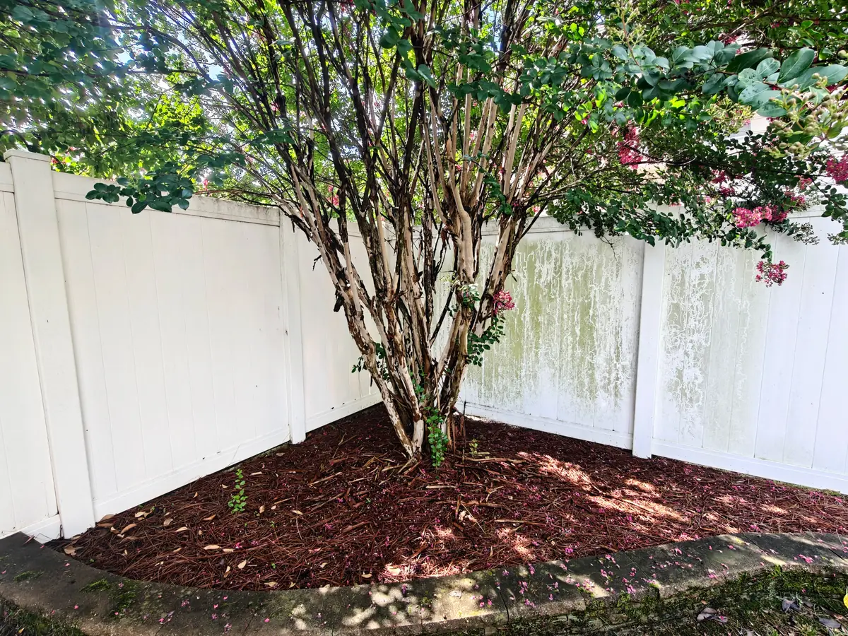 Corner of a white vinyl fence in Concord, NC with heavy green algae growth before washing